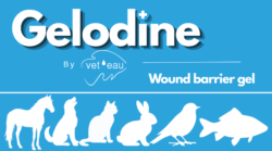 Gelodine UK